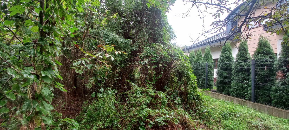 Działka w otoczeniu zabudowy jednorodzinnej